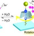 The rotary movement of a chromophore-modified alpha-cyclodextrin (alpha-CD) was studied in a rotaxane structure attached to a glass substrate. The rotary movement of the alpha-CD was demonstrated by defocused wide-field imaging with total internal reflection fluorescence microscopy. The motion of the alpha-CD is suspended in the dry state, whereas a fast rotary movement/rotary vibration is observed in the wet state.