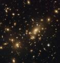 The picture shows Abell 2218, a rich galaxy cluster composed of thousands of individual galaxies. It sits about 2.1 billion light-years from the Earth (redshift 0.17) in the northern constellation of Draco. When used by astronomers as a powerful gravitational lens to magnify distant galaxies, the cluster allows them to peer far into the Universe. However, it not only magnifies the images of hidden galaxies, but also distorts them into long, thin arcs.

Several arcs in the image can be studied in detail thanks to Hubble's sharp vision. Multiple distorted images of the same galaxies can be identified by comparing the shape of the galaxies and their color. In addition to the giant arcs, many smaller arclets have been identified.