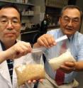 Drs. Seigo Usuki (left) and Robert K. Yu.