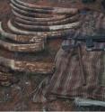 Elephant tusks seized by authorities lie next to weapons used by poachers, including rocket-propelled grenades used against rangers who protect the elephants. Elephant tusks seized by authorities lie next to weapons used by poachers, including rocket-propelled grenades used against rangers who protect the elephants.