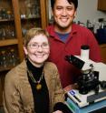 Veterinary biosciences professor Susan Schantz and graduate student Victor Wang found that rats exposed to estradiol were significantly impaired on tasks involving working memory and response inhibition.