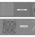 Top: the ALS beamline 9.0.1 experiment used a uniformly redundant array 30 nanometers thick with scattering elements 44 nanometers square (left). At right is the lithograph of Da Vinci’s Vitruvian Man. The scale bar is two micrometers long. Bottom: the FLASH experiment used a URA with 162 pinholes, next to a Spiroplasma bacterium. The 150-nanometer diameter pinholes in the URA limited resolution, but computer processing improved image resolution to 75 nanometers. The scale bar is four micrometers long.