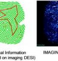 This image shows two fingerprint images and a chemical composition graph obtained from a single analysis using new technology developed at Purdue. The fingerprint in the center shows an image created from an analysis of the presence of cocaine molecules. The fingerprint on the left is a computer-generated image created from the cocaine analysis for use in identification software. The right figure shows the mass spectrum acquired in one pixel. This image shows two fingerprint images and a chemical composition graph obtained from a single analysis using new technology developed at Purdue. The fingerprint in the center shows an image created from an analysis of the presence of cocaine molecules. The fingerprint on the left is a computer-generated image created from the cocaine analysis for use in identification software. The right figure shows the mass spectrum acquired in one pixel.