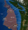 Scientists have finalized the locations of two observatory sites, or nodes, for the Regional Scale Nodes Project. The site at Hydrate Ridge gives them a chance to learn more about icy, energy-rich methane deposits and the life found there. On the other side of the Juan de Fuca Plate, a site was selected on Axial Volcano to study the volcanism, hydrothermal venting and other processes there. Companion work in Canada is planned at the north end of the plate.