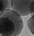In this transmission electron micrograph of the mesoporous nanospheres, the nano-scale catalyst particles show up as the dark spots.  Using particles this small (~ 3 nm) increases the overall surface area of the catalyst by roughly 100 times.