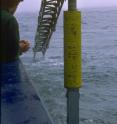 Sediment core onboard Polarstern.