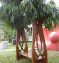 A TAU/Plantware bench on the grounds of Israel's Tel Hashomer Hospital.