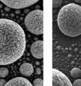 In-depth look: An image of gold atoms on tin from a state-of-the-art scanning electron microscope (left) has relatively poor depth of field-only parts of the image are in sharp focus. By contrast, the entire image from a helium ion microscope image (right) is sharp and clear. NIST researchers are studying helium ion microscopes to improve measurements at the nanoscale that are important to the semiconductor and nanomanufacturing industries.
