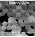 Borosilicate glass nanoparticles.