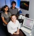 Illinois veterinary biosciences professor Indrani Bagchi (standing, left), molecular and integrative physiology professor Milan Bagchi and veterinary biosciences doctoral student Mary Laws led the team that discovered that a gap junction protein is critical to a successful pregnancy.