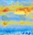 Satellite imagery shows where carbon dioxide is being emitted or absorbed, measured here in 2003. Reds show sources; blues, absorption.