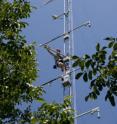 NCAR scientists used specially equipped towers to measure plant emissions above the forest canopy of a walnut grove.