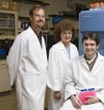 Postdoctoral researcher Marcelo German (seated), with Pamela Green, the Crawford H. Greenewalt Endowed Chair in Plant Molecular Biology, and Blake Meyers, associate professor of plant and soil sciences in the lab at UD's Delaware Biotechnology Institute.
