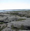 Bedrock along the northeast coast of Hudson Bay, Canada, has the oldest rock on Earth.