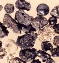 Lunar dust as seen under a microscope. Each is covered in a glassy coating that may be smooth and round or jagged and sharp. Particle types shown include plagioclase (lower left, white), volcanic glass beads (upper right, smooth and black), impact-glass beads (upper left, black but rough), rock chips (rough and gray) and agglutinate (center, rough and gray, with hole). For scale, the smallest round bead at upper right is approximately 1 mm in diameter.