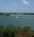 ALIPR assigned the following keywords to this photo of Biscayne Bay in Miami, Florida:  landscape, lake, mountain, ocean, building, grass, water, ice, glacier, historical, house, rock, man-made, train and tree.