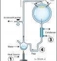 The apparatus used for Miller's original experiment. Boiled water (1) creates airflow, driving steam and gases through a spark (2). A cooling condenser (3) turns some steam back into liquid water, which drips down into the trap (4), where chemical products also settle.