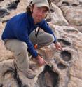 Geologist Winston Seiler with some of the dinosaur tracks he identified for his thesis as a University of Utah master's degree student. The impressions once were thought to be potholes eroded by water. But Seiler and Marjorie Chan, chair of geology and geophysics at the University of Utah, published a scientific paper in the October 2008 issue of the journal Palaios identifying the abundant impressions as comprising a large dinosaur "trample surface" in northern Arizona. There are so many tracks they wryly refer to the site as "a dinosaur dance floor."