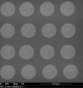 In this scanning electron image of a 4-by-4 array of plasmonic lenses, each lens is 4 micrometers in diameter and can be used as an optical stylus in the pattern writing process.