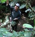 The Yasuni, Ecuador forest dynamics plot of the Pontificia Universidad Catolica del Ecuador is one of the most diverse forests under study in a global network of forest plots.