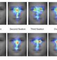 When asked to determine if the face that test subjects were looking at was one that they had just seen a few minutes prior, test subjects first "fixed" their eyes near the center of the nose, and when they moved their eyes to the second location on the face, it too was usually near the center of the nose, according to research from computer scientists at UC San Diego published in the journal Psychological Science in October 2008.