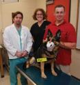 Dr. Sinisa Grozdanic, Dr. Shara Chance and Jason Clark, Gora's handler, pose with a recovering Gora, a US Army explosive search dog, at the Iowa State University’s College of Veterinary Medicine.