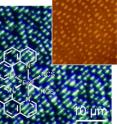 This spin-transition compound can be nanopatterned by unconventional and soft lithography to give crystalline, well-oriented, micrometer-scale structures arranged in stripes on a silica surface, as revealed by optical and scanning force microscopy (inset).