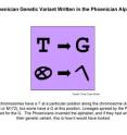 Most Y chromosomes have a T at a particular position along the chromosome (known as 13,479,028 or M172), but some have a G at this position. Lineages spread by the Phoenicians are enriched for the G.  The Phoenicians invented the alphabet, and if they had written down their genetic variant, this is how it would have looked.