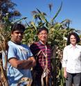 Among the University of Delaware team involved in the study were Manoj Pillay, research associate and programmer in the Meyers lab, postdoctoral scientist Dong-Hoon Jeong and research associate Monica Accerbi, both from the Green lab, and Blake Meyers, associate professor.