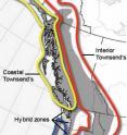 Map shows ranges of Townsend's warblers and hermit warblers, and hybrid zones where the species overlap.