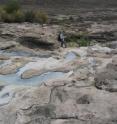 Large areas of Omani desert are covered with carbonate minerals that have reacted with bedrock.