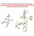 A team of researchers led by Boston College Prof. Amir H. Hoveyda and MIT Prof. and Nobel laureate Richard R. Schrock have discovered a new class of catalysts for the powerful olefin metathesis reaction, illustrated here, which transforms simple molecules into complex ones. The process is critical to new research in medicine, biology and materials science.