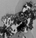 A transmission electron microscope image (magnified 5,000 times) of a slice of the Inti particle, which NASA’s Stardust spacecraft collected in 2004 and returned to Earth two years later. Preparation of the sample caused some breakage. Scale bar is one micron, or one millionth of a meter.