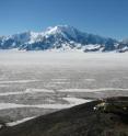 This ice field is believed to cover a large fault (Bagley fault), discovered by the STEEP project, which is thought to have become highly active in response to accelerated glacial erosion in the last million years. Resulting from differential rock motion across this structure, the large mountain in the background is moving up relative to the hill beneath the helicopter at about 10,000 (+/- 3,000) feet per million years.