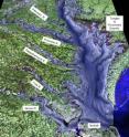 This is a map of the Chesapeake Bay estuary.