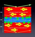 Researchers working at NIST have confirmed that thin magnetic layers (red) of a semiconductor separated by a nonmagnetic layer (blue) can exhibit a coveted phenomenon known as "antiferromagnetic coupling," in which manganese (Mn) atoms in successive magnetic layers spontaneously orient their magnetization in opposite directions. This discovery, made by scattering neutrons (arrows) from the material, raises the prospects of "spintronic logic circuits" that could both store and process data.