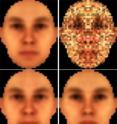 Test subjects tended to confirm subtle color differences associated with gender. Even when viewing pixelated or distorted images, subjects identified redder images as male and greener images as female.