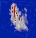 Today, with the help of better observational methods and more powerful computers, we can get a much nicer picture of how clouds "work." Today, with the help of better observational methods and more powerful computers, we can get a much nicer picture of how clouds "work."