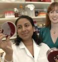 Dr. Lora Hooper (right) and other immunologists and microbiologists, including Dr. Shipra Vaishnava, have shown for the first time that the Paneth cells, which line the guts of mammals, play a major role in making sure that bacteria -- both good and bad types -- remain in the right places.