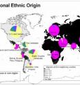 Today's populations on the Eurasian land mass consists almost entirely of indigenous populations, while the Americas and Australia are predominantly populated by descendants of immigrants.