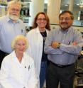 The Ghosh Lab's groundbreaking research is being published in today's Nature. Pictured from left to right are: (seated) Mary Erman, HWI senior research associate; (standing) Dr. Walter A. Pangborn, HWI principal research scientist and executive vice president; Jennifer Griswold, HWI research associate and Dr. Debashis Ghosh, an HWI senior research scientist and principal investigator who also holds a joint faculty appointment at the Roswell Park Cancer Institute.