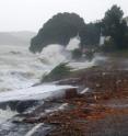 The likelihood of flooding due to storm surges increases greatly if the ocean rises one meter. Such a rise in sea level will not flood large areas of land, but what is regarded as exceptionally high water level will occur at least 1,000 times more often in vulnerable areas. The likelihood of flooding due to storm surges increases greatly if the ocean rises one meter. Such a rise in sea level will not flood large areas of land, but what is regarded as exceptionally high water level will occur at least 1,000 times more often in vulnerable areas.