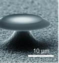 This plasmonic whispering gallery microcavity consists of a silica interior that is coated with a thin layer of silver. It improves on the quality of current plasmonic microcavities by better than an order of magnitude and paves the way for plasmonic nanolasers.