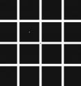 Your eyes on the move: When you stare at the central black dot for about a minute and then look at the white dot next to it, you will notice a dark afterimage of the white grid, which -- as a result of your own fixational eye movements -- keeps moving around. The existence of such involuntary eye movements has been known for several decades, but how the brain generates them has remained a scientific mystery.