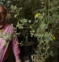 Pictured is Michigan State University professor of biochemistry and molecular biology Robert Last.