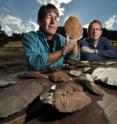 Three stone artifacts from a 13,000-thousand-year-old Clovis-era cache unearthed recently in the city limits of Boulder, Colo. are shown by University of Colorado at Boulder anthropology Professor Douglas Bamforth and Boulder resident Patrick Mahaffy, who owns the property where the cache was found.  Two of the more than 80 implements in the cache were shown to have protein residue from now-extinct North American camels and horses.
