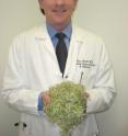 Dr. Marc Riedl, UCLA assistant professor of clinical immunology and allergy, holds broccoli sprouts, the form of the vegetable used in the study.
