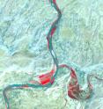 This 2006 infrared image of the confluence of the Colorado and Dolores rivers in Utah was taken by the ASTER instrument on NASA's Terra satellite. The Colorado flows from north to south and the Dolores enters the image from the east. Vegetation appears bright red, including an alfalfa field along the Colorado and a wet "bottom" area along the Dolores that has extensive tamarisk, an invasive tree from Eurasia.