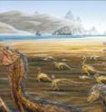 While approaching the edge of a lake in what is today the Gobi Desert of Inner Mongolia, a herd of young Sinornithomimus dinosaurs suddenly finds itself hopelessly trapped in mud some 90 million years ago.