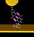 A gold probe, outfitted with a dangling nucleotide approaches its complementary base, protruding upward from a monolayer. A set point current is established for the tunnel junction as the bases self-assemble. As the electrode is slowly withdrawn, the drop in tunneling current is recorded. Examining the curve of current vs. distance allows the identification of A-T base pairs, which may be distinguished from more strongly bonded C-G pairs -- cemented by 3 rather than 2 hydrogen bonds. A gold probe, outfitted with a dangling nucleotide approaches its complementary base, protruding upward from a monolayer. A set point current is established for the tunnel junction as the bases self-assemble. As the electrode is slowly withdrawn, the drop in tunneling current is recorded. Examining the curve of current vs. distance allows the identification of A-T base pairs, which may be distinguished from more strongly bonded C-G pairs -- cemented by 3 rather than 2 hydrogen bonds.